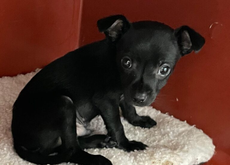 multimedia-foto86321-538-1