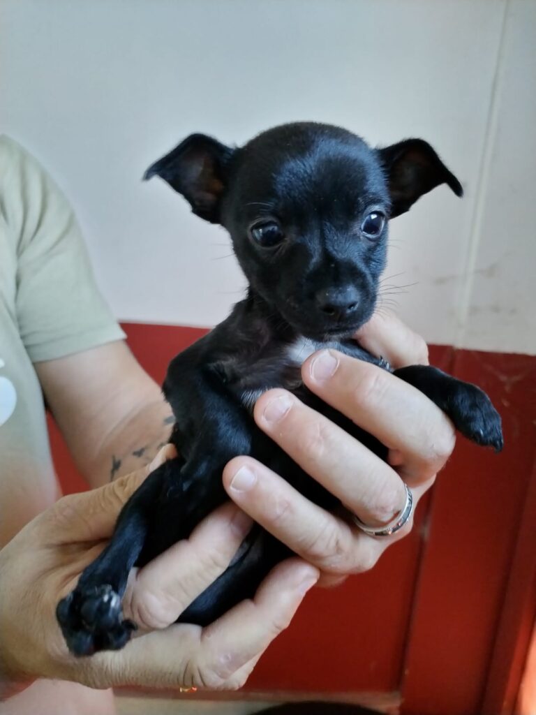 multimedia-foto86322-538-1