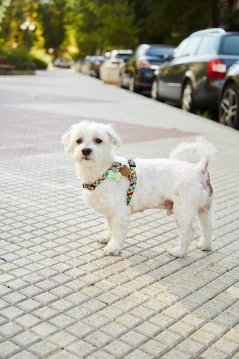 multimedia-foto86326-974-1