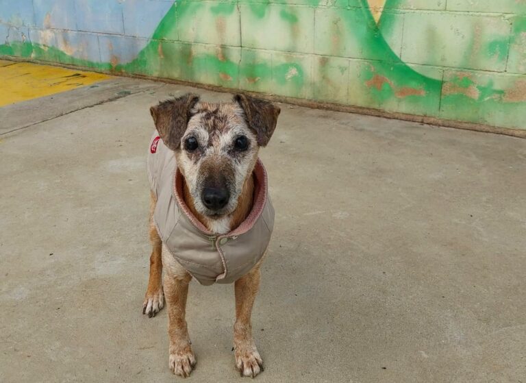 multimedia-foto86330-724-1