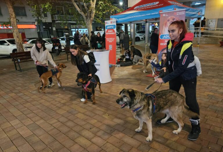 multimedia-foto86332-878-1