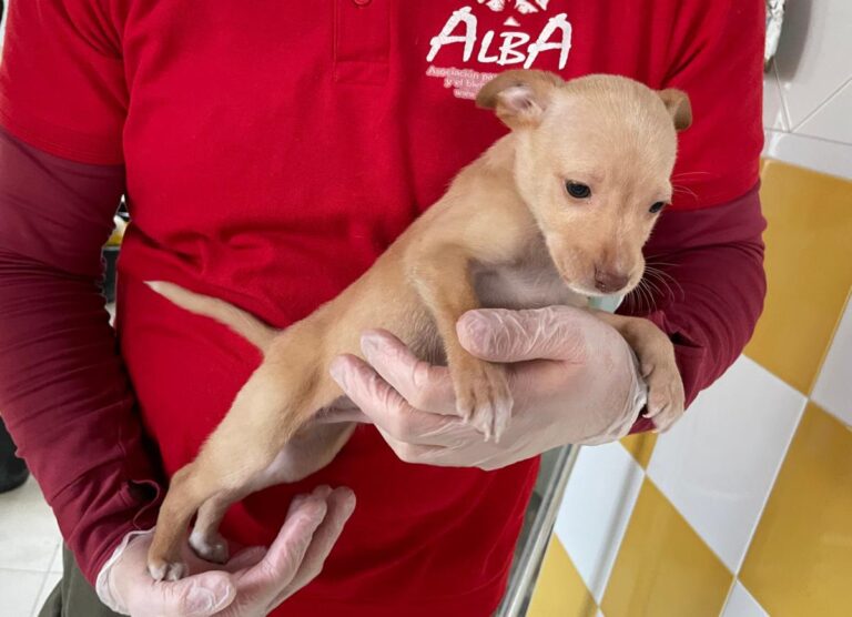 multimedia-foto86384-978-1