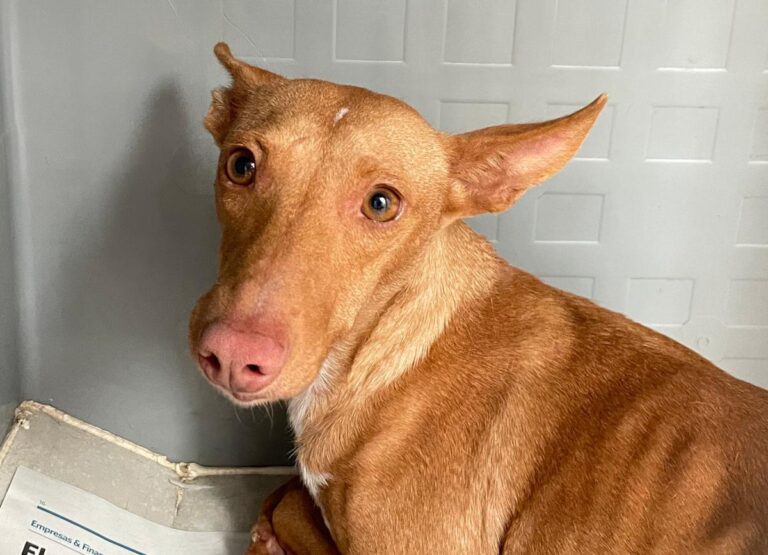 multimedia-foto86398-64-1