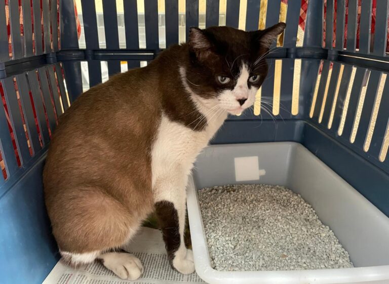 multimedia-foto86405-506-1