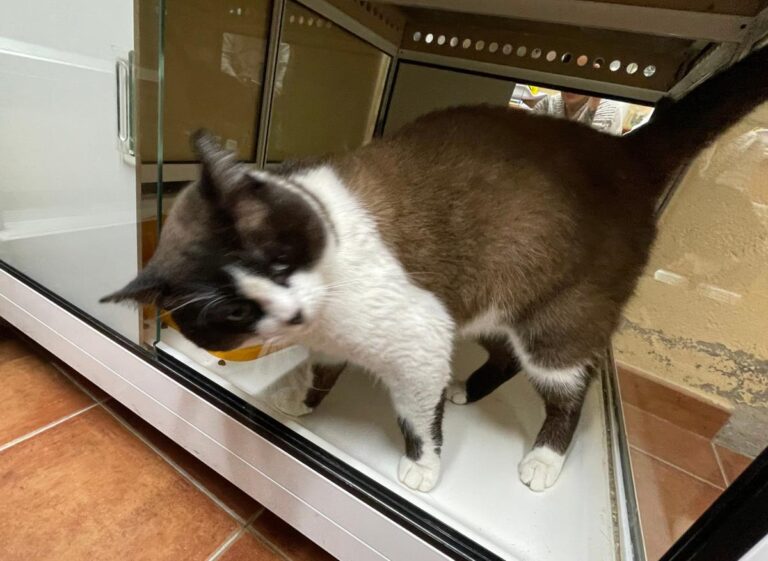 multimedia-foto86407-507-1