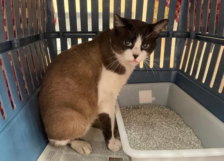 multimedia-foto86409-507-1