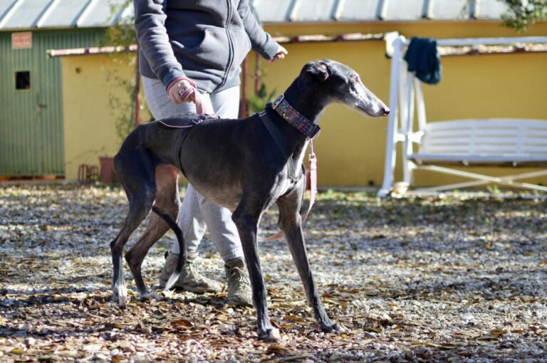 multimedia-foto86427-566-1