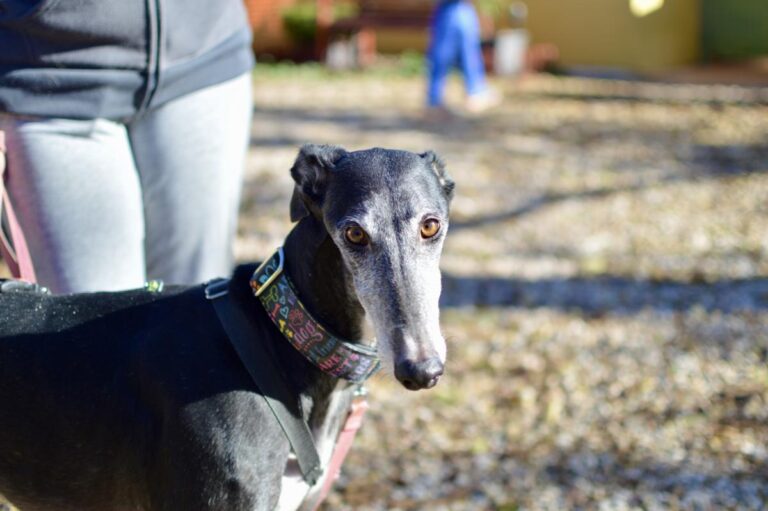 multimedia-foto86428-566-1