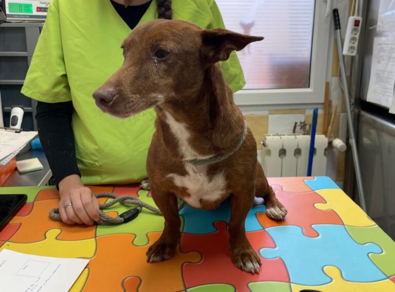 multimedia-foto86430-694-1