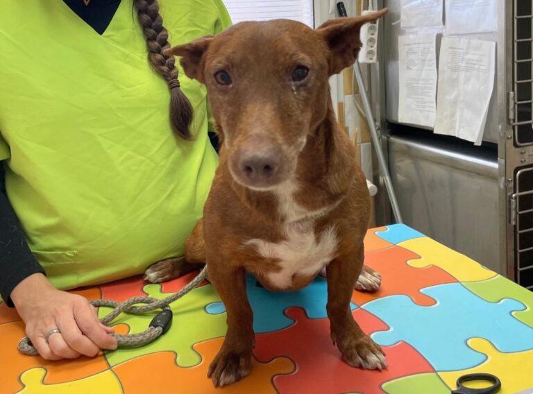 multimedia-foto86431-694-1