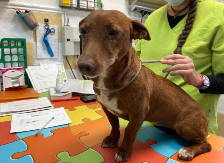 multimedia-foto86432-694-1