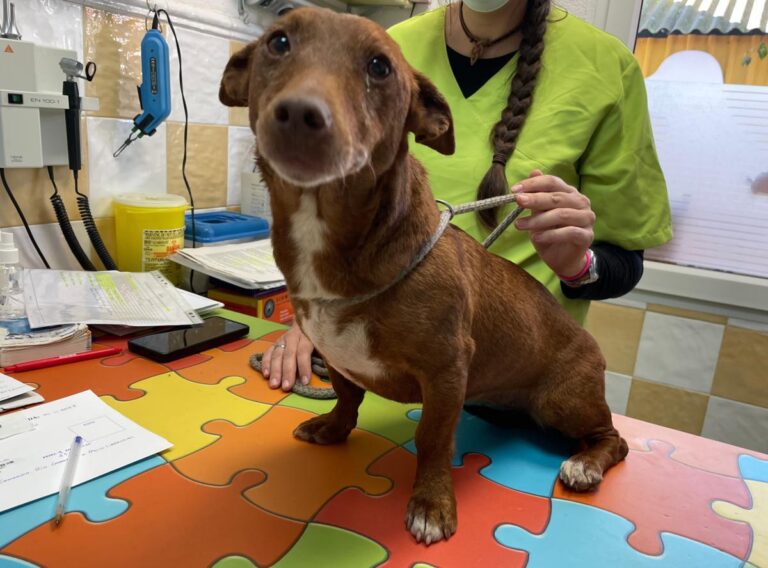 multimedia-foto86433-694-1