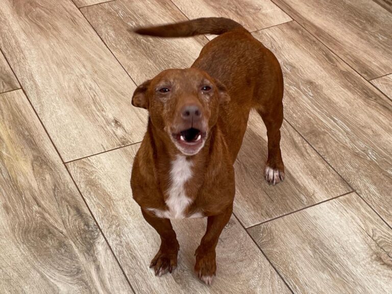 multimedia-foto86434-694-1