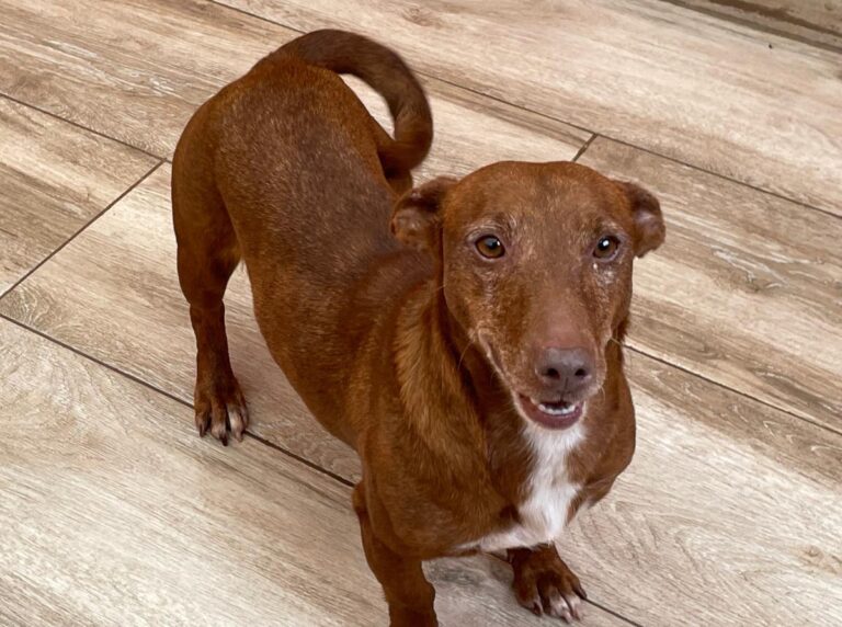 multimedia-foto86436-695-1