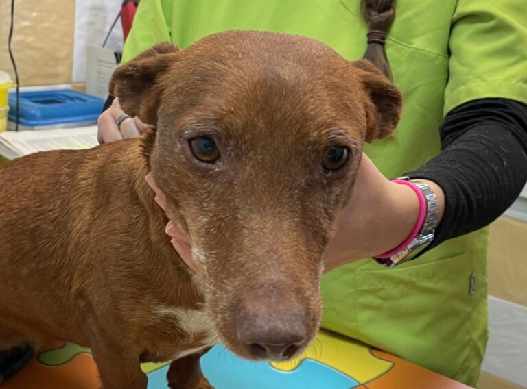 multimedia-foto86437-695-1