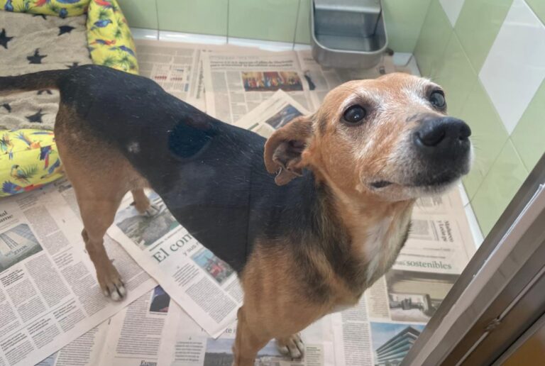 multimedia-foto86447-906-1