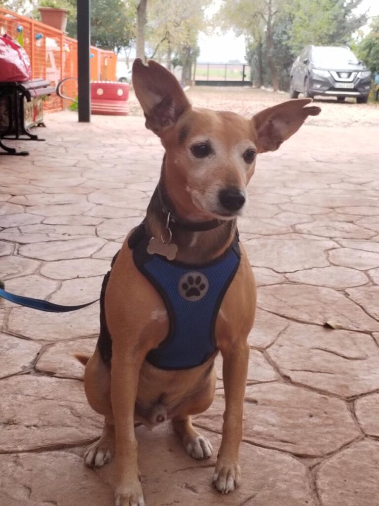 multimedia-foto86449-907-1