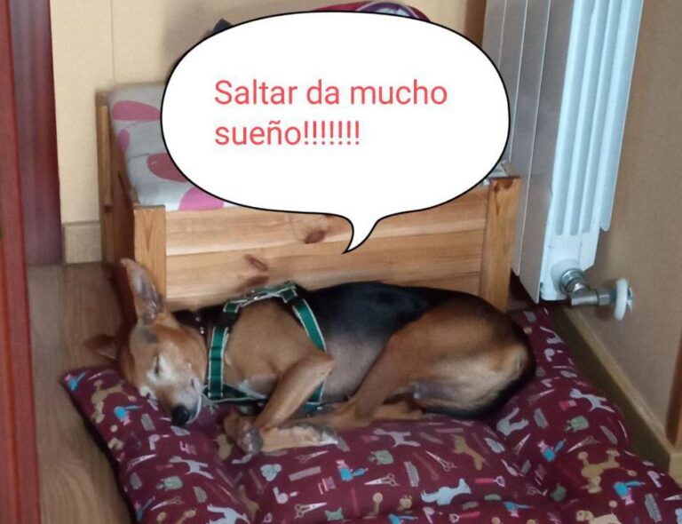 multimedia-foto86451-907-1