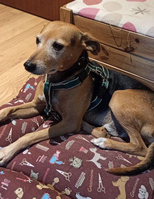 multimedia-foto86452-907-1