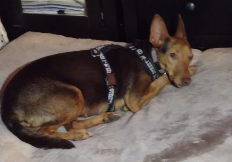 multimedia-foto86503-10-1