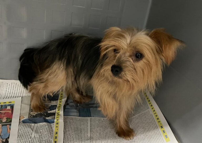 multimedia-foto86512-274-1