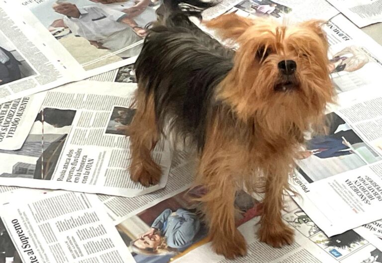 multimedia-foto86513-274-1