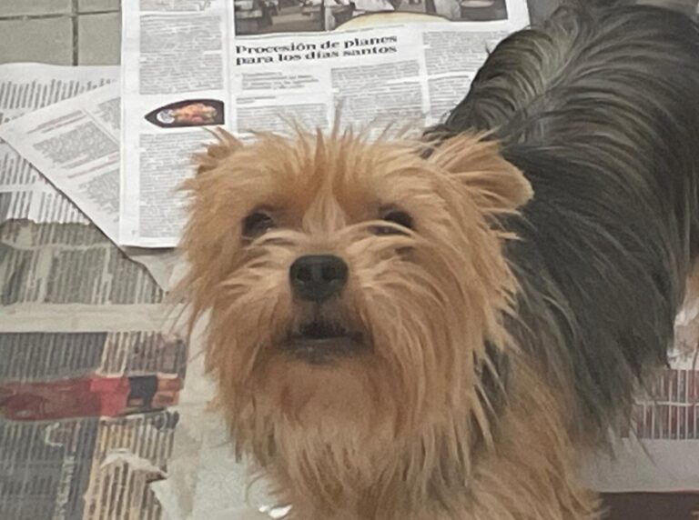 multimedia-foto86514-274-1