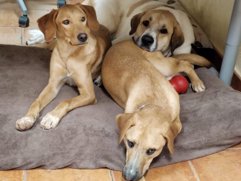 multimedia-foto86538-661-1