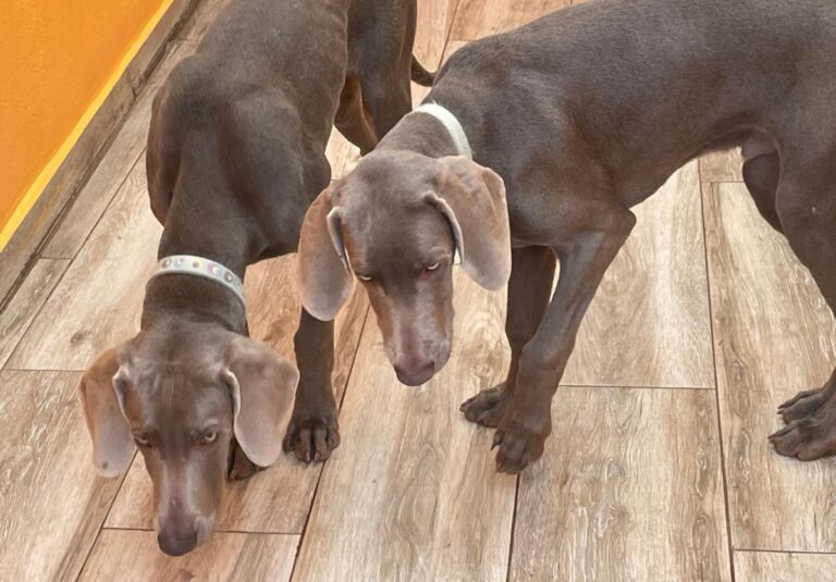 multimedia-foto86539-848-1