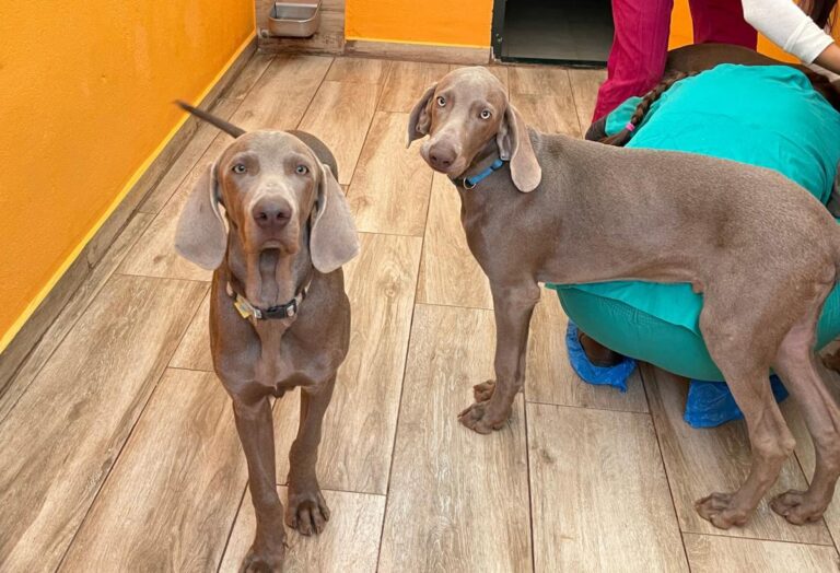 multimedia-foto86540-848-1