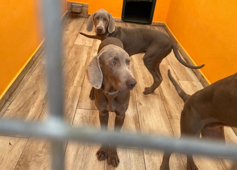 multimedia-foto86542-849-1