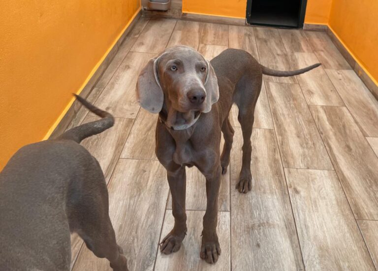 multimedia-foto86543-849-1