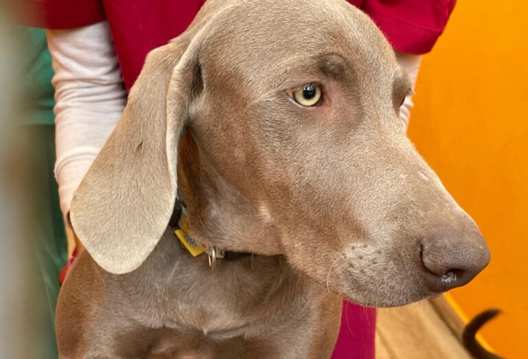 multimedia-foto86544-849-1