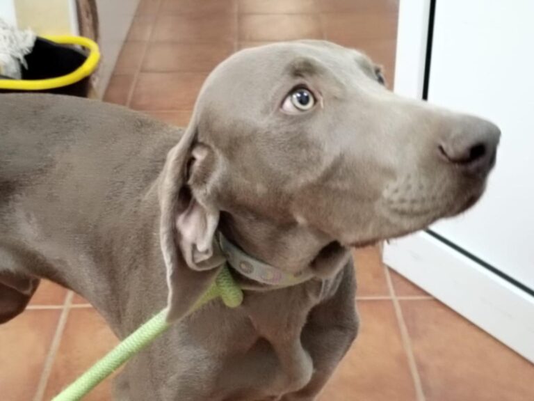 multimedia-foto86546-849-1