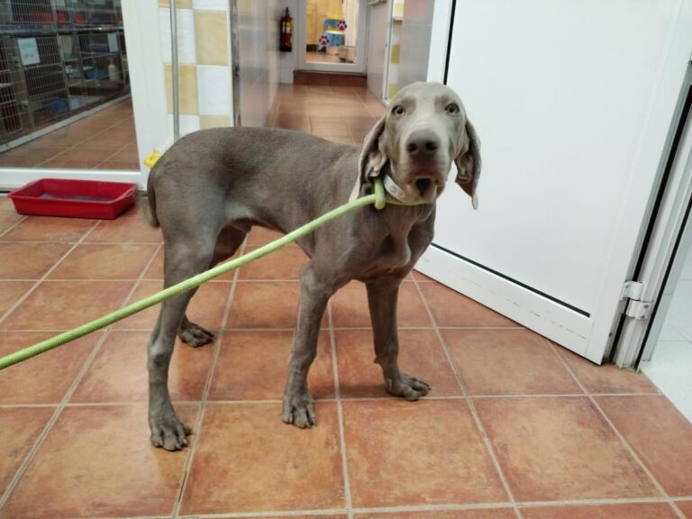 multimedia-foto86547-850-1