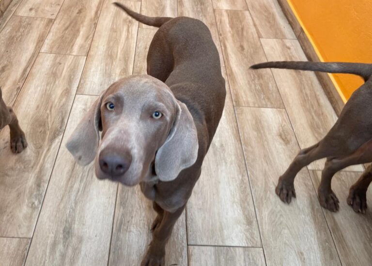 multimedia-foto86548-850-1