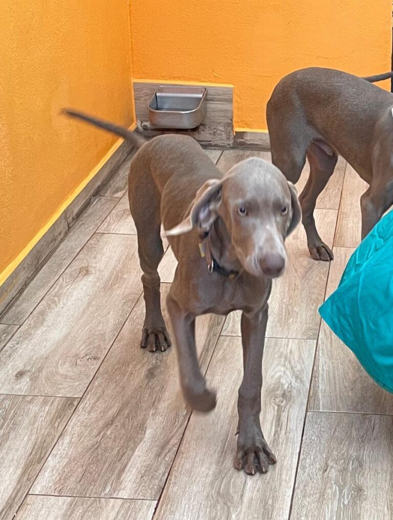 multimedia-foto86551-972-1