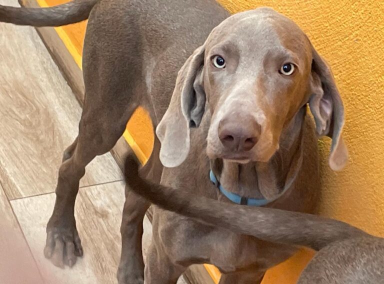 multimedia-foto86552-972-1