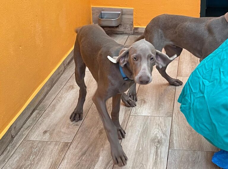 multimedia-foto86553-972-1