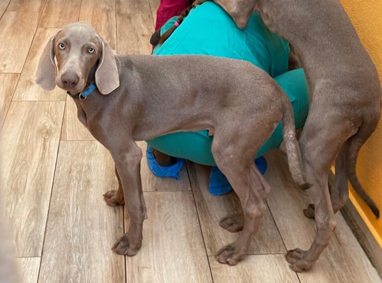 multimedia-foto86554-972-1