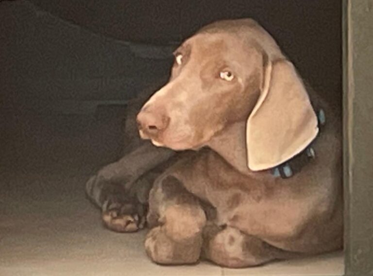 multimedia-foto86555-972-1