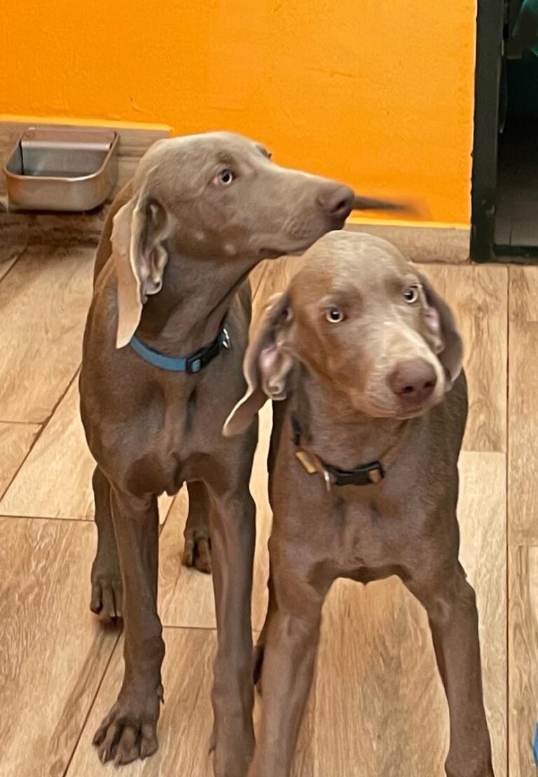 multimedia-foto86557-973-1