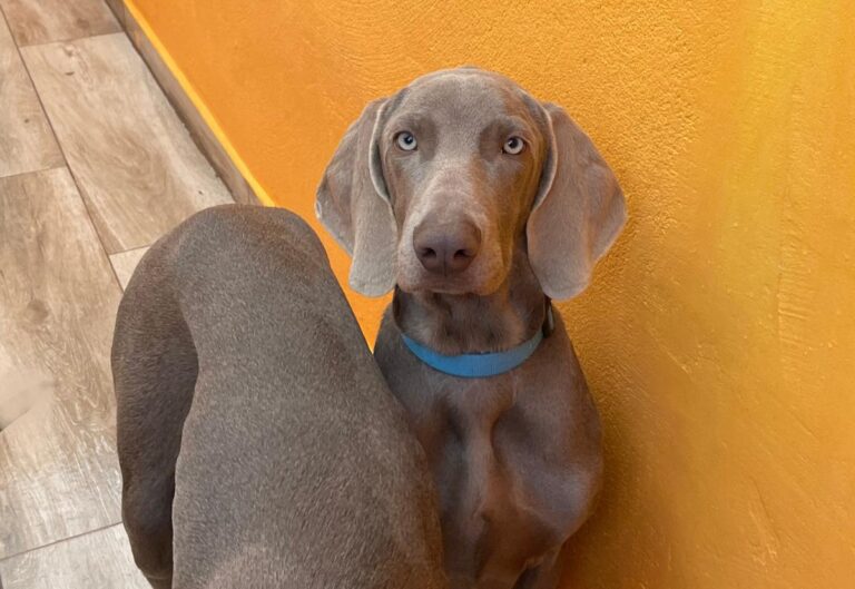 multimedia-foto86558-973-1