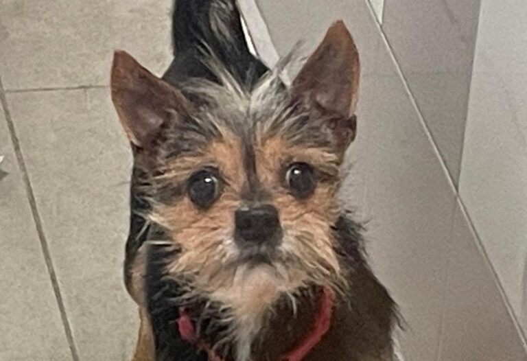 multimedia-foto86592-392-1