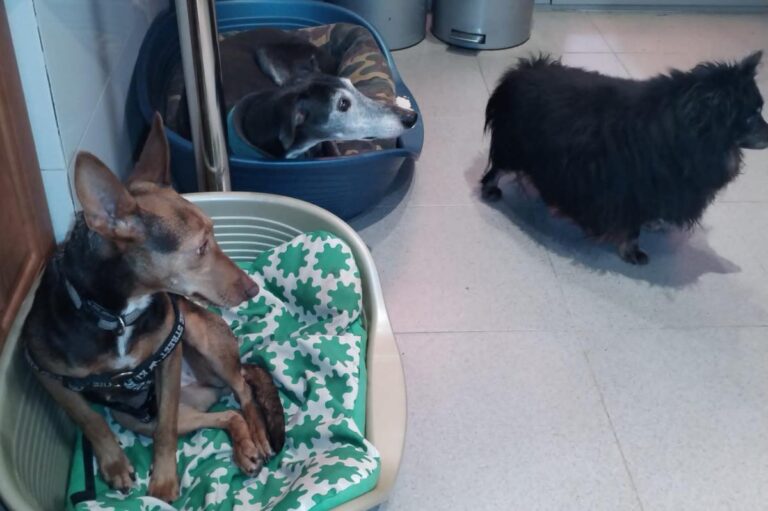 multimedia-foto86593-487-1