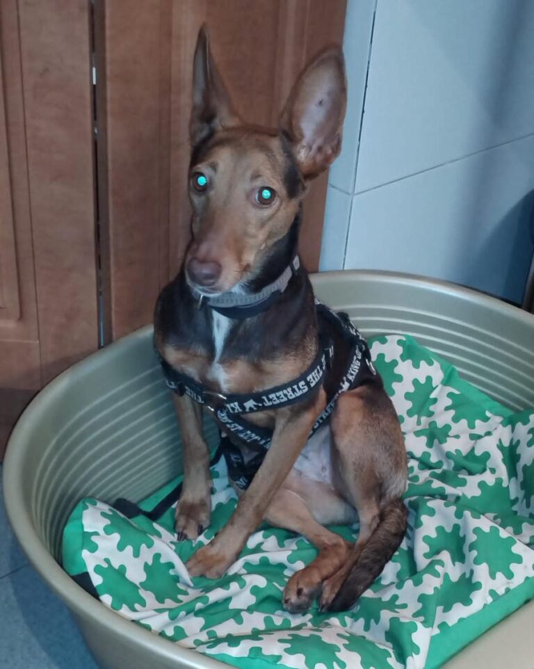 multimedia-foto86594-487-1