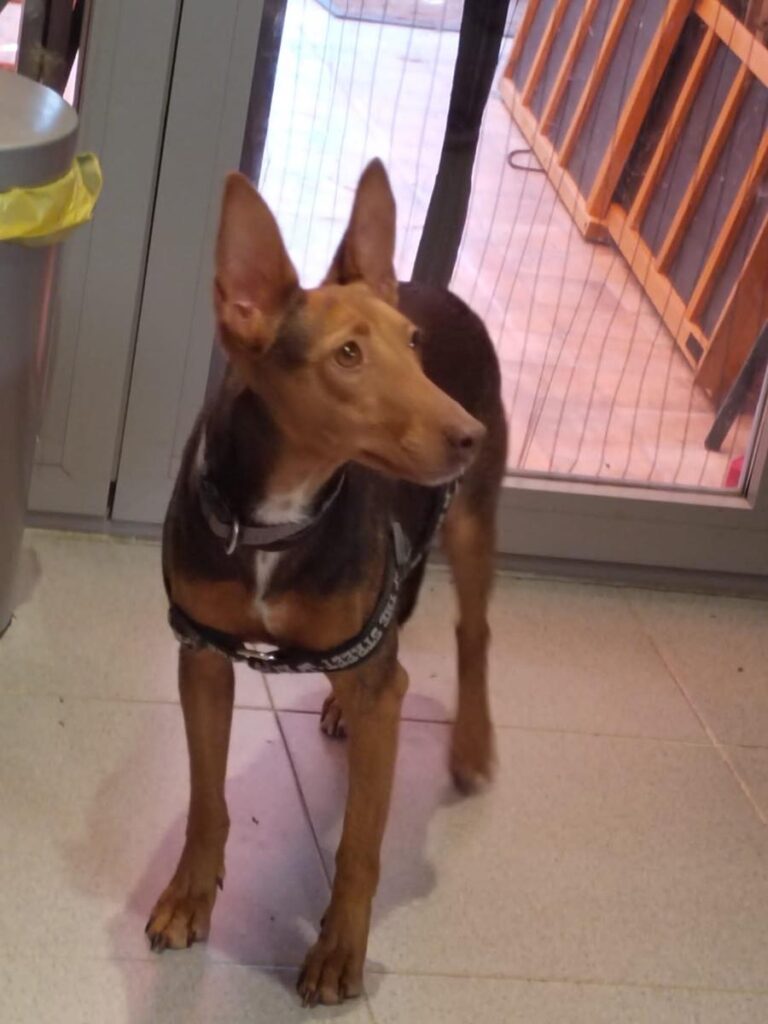 multimedia-foto86595-487-1