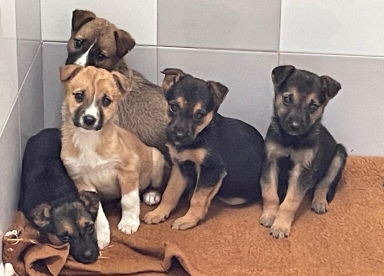 multimedia-foto86629-512-1