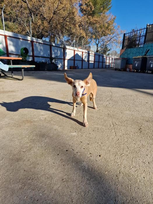 multimedia-foto86681-414-1