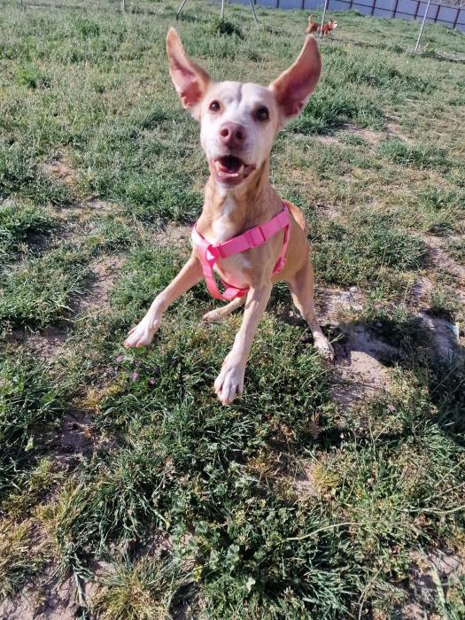 multimedia-foto86682-414-1